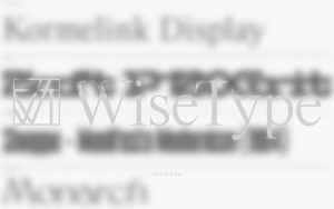 wisetype-foundry-1